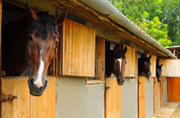 free Fern Bank stable construction quotes